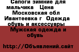Сапоги зимние для мальчика › Цена ­ 850 - Московская обл., Ивантеевка г. Одежда, обувь и аксессуары » Мужская одежда и обувь   